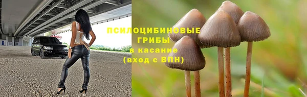 скорость Баксан