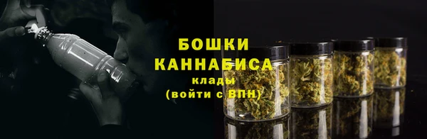 трава Балахна
