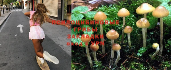 скорость Баксан