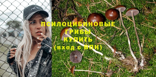 скорость Баксан
