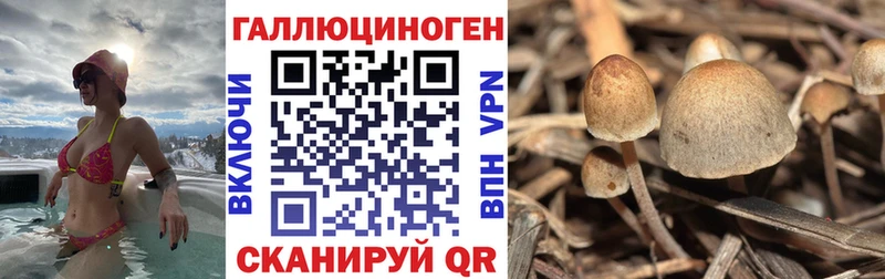 Галлюциногенные грибы MAGIC MUSHROOMS даркнет сайт Краснокаменск